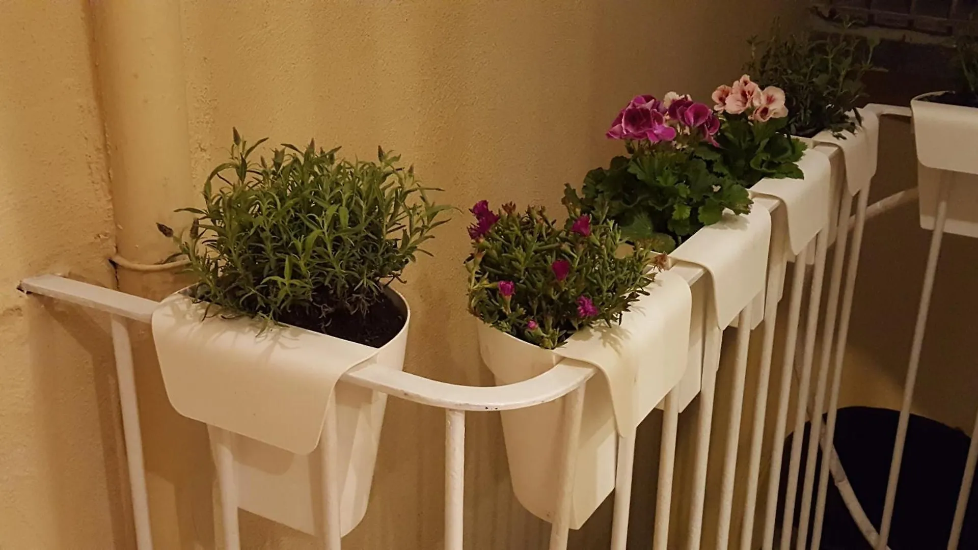 Appartamento Gennarino's Home Napoli